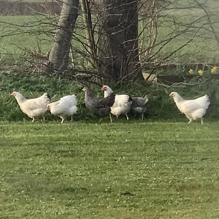 Lantställe Objerggaard *