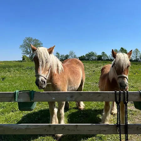 Objerggaard Casa di campagna