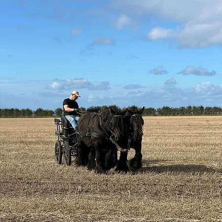 Objerggaard Lantställe Ebberup