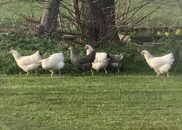 Country house Objerggaard *