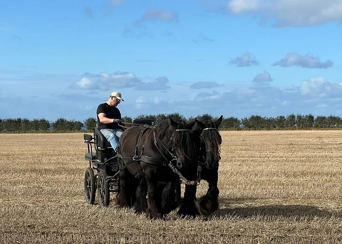 Objerggaard Country house Ebberup