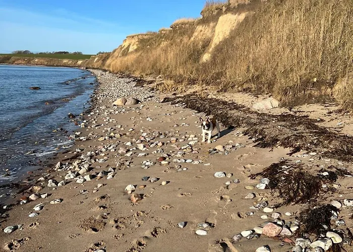 Objerggaard Εξοχικό σπίτι